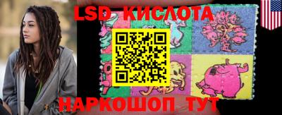 гидропоника Славгород