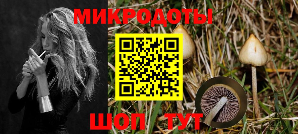 магазин    Вход с VPN  Ревда  Псилоцибиновые грибы Psilocybine cubensis 