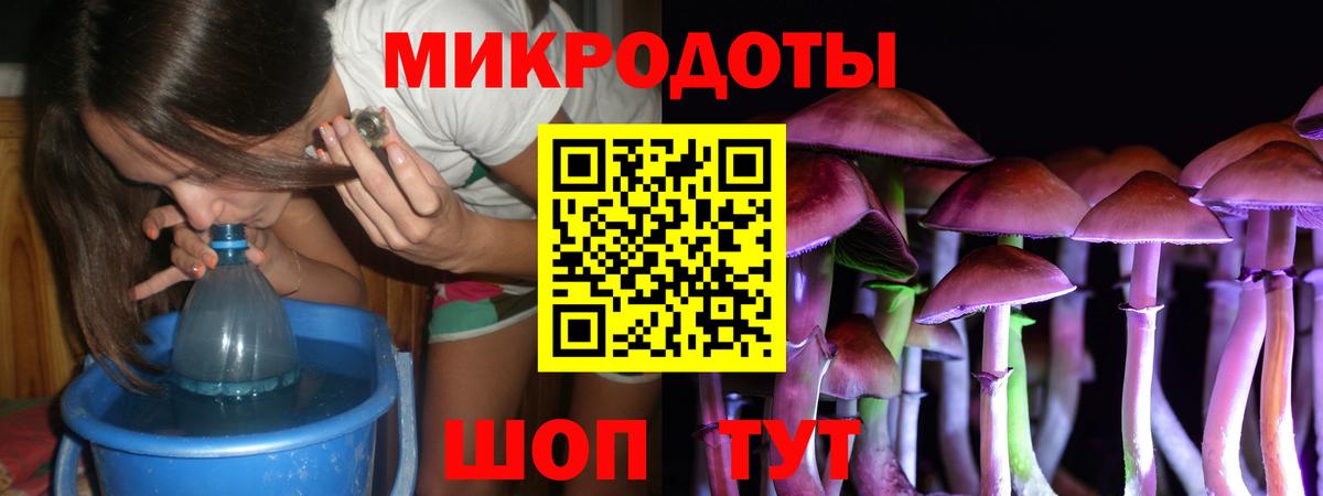 Псилоцибиновые грибы Psilocybine cubensis Ревда